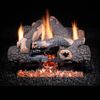 Golden Blount Charred Bonfire Ventless Gas Log Set image number 0