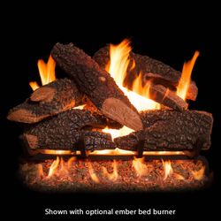 Golden Blount Texas Bonfire See Through Vented Gas Log Set