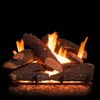 Golden Blount Texas Bonfire Vented Gas Log Set image number 0
