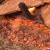 Golden Blount Texas Hickory Fire See Through Vented Gas Log Set