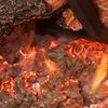 Golden Blount Texas Hickory Fire Vented Gas Log Set image number 2