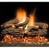 Golden Blount Grand Bonfire See-Through Vented Gas Log Set