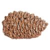 Decor Pack - Wood Chips, Pine Cones image number 2