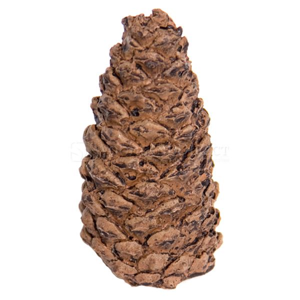 Decor Pack - Wood Chips, Pine Cones image number 3