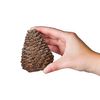 Decor Pack - Wood Chips, Pine Cones