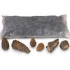Ember Decor Kit with Acorns image number 0