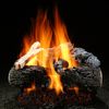Hargrove Magnificent Inferno See Through Vented Gas Log Set