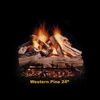 Hargrove Western Pine Vented Gas Log Set image number 3