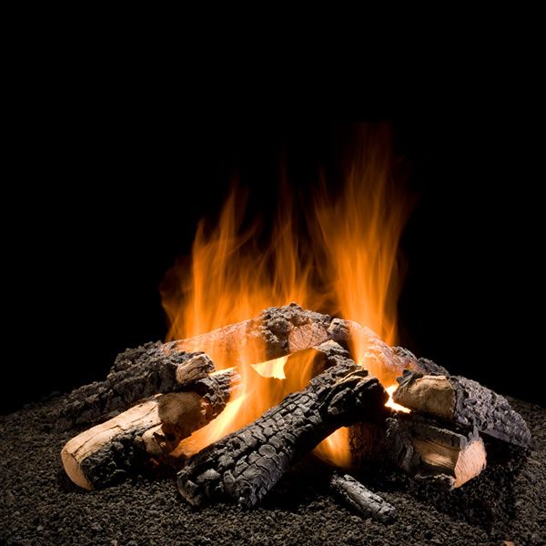 Hargrove Wilderness Char Outdoor Gas Log Set