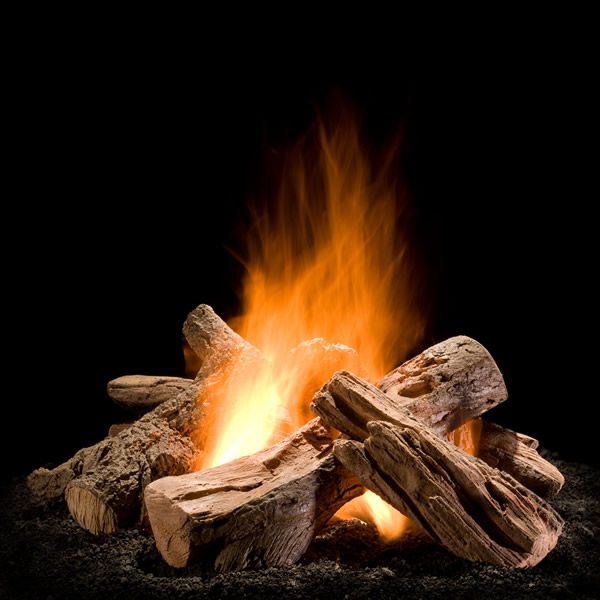 wood logs for fire