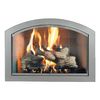 Heritage Full-Arch Masonry Fireplace Door image number 0