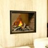 Napoleon BHD4ST See Through Direct Vent Gas Fireplace with Logs image number 0