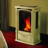 Napoleon GDS26 Castlemore Direct Vent Cast Iron Gas Stove - Winter Frost image number 0
