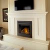 Napoleon GX36 Ascent X 36 Direct Vent Gas Fireplace image number 0