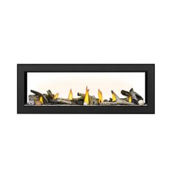 Napoleon L50 Acies 50 See Through Direct Vent Gas Fireplace