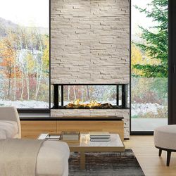 Sierra Flame Lyon 48 Four Sided See Through Fireplace