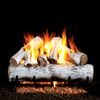 Real Fyre White Birch Outdoor Vented Gas Log Set