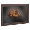 Phoenix Masonry Fireplace Glass Door image number 0