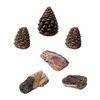 Rasmussen Accent Kit - 3 Wood Chips and 3 Pinecones - Small image number 0