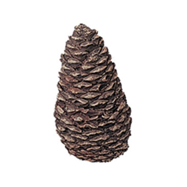 Gas Logs Decorative Ceramic Pine Cones In Assorted Sizes Set Of 4 