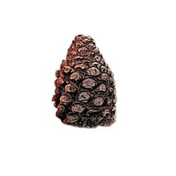 Refractory Ceramic Pine Cone Small - 3"
