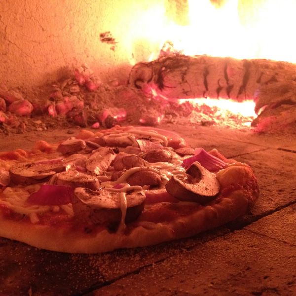 Toscana Wood Fired Masonry Pizza Oven